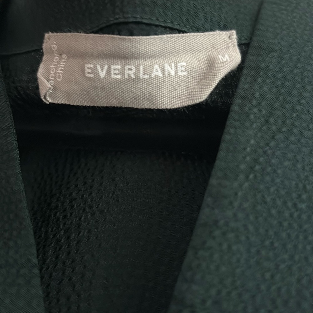 Everlane The Hammered Satin Balloon Sleeve Top - Picture 4 of 5